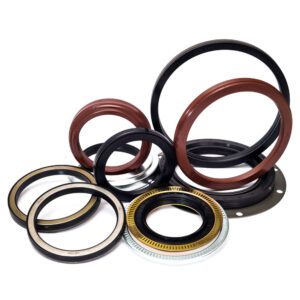 Oil Seals